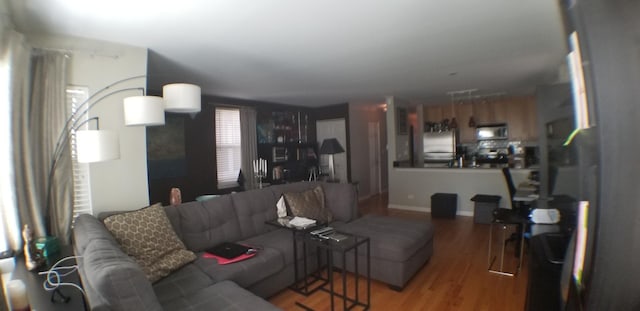 living room featuring baseboards and wood finished floors