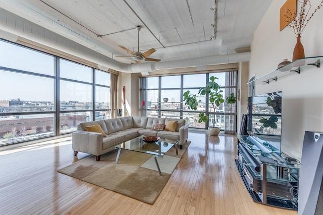 living area featuring floor to ceiling windows, rail lighting, and wood-type flooring