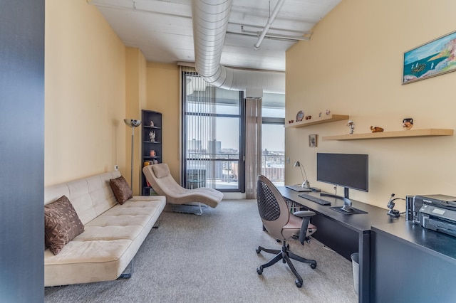 view of carpeted office