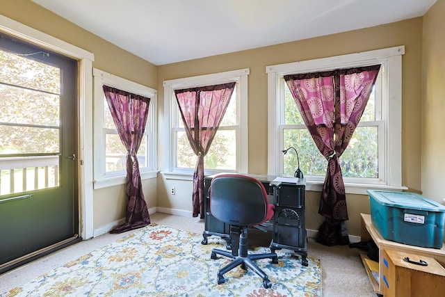 office with a wealth of natural light, baseboards, and carpet floors