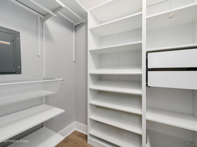 spacious closet featuring electric panel and wood finished floors