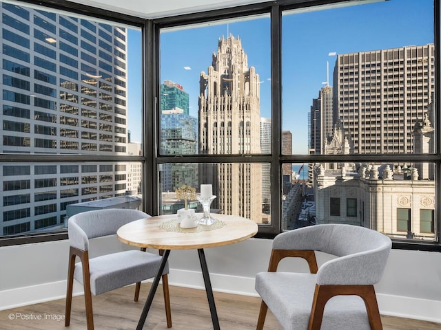 interior space with a wall of windows, baseboards, a city view, and wood finished floors