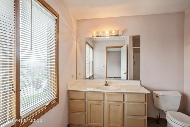 214 S Rush St, Itasca, IL 60143 - bathroom featuring plenty of natural light, toilet, and vanity