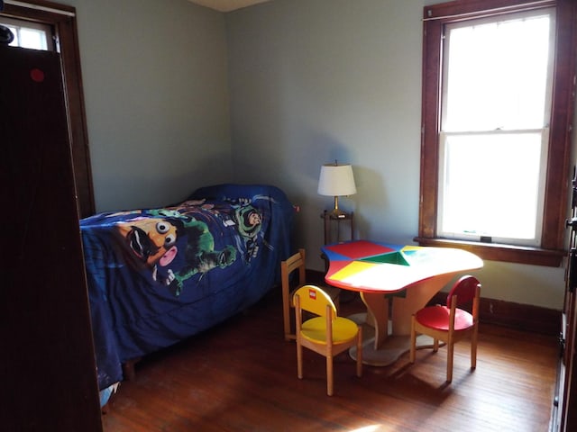 410 S Franklin Ave, Polo, IL 61064 - bedroom featuring multiple windows and wood finished floors