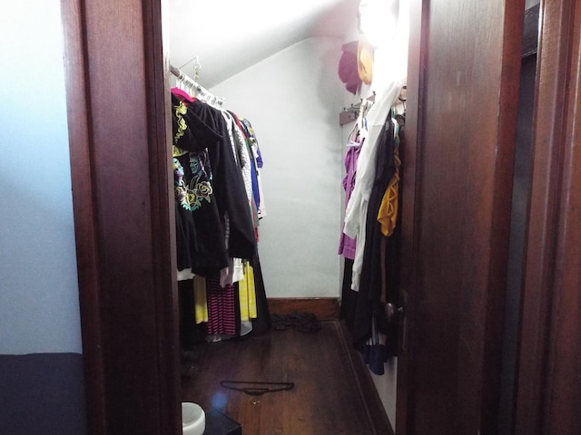 410 S Franklin Ave, Polo, IL 61064 - walk in closet with wood finished floors and vaulted ceiling