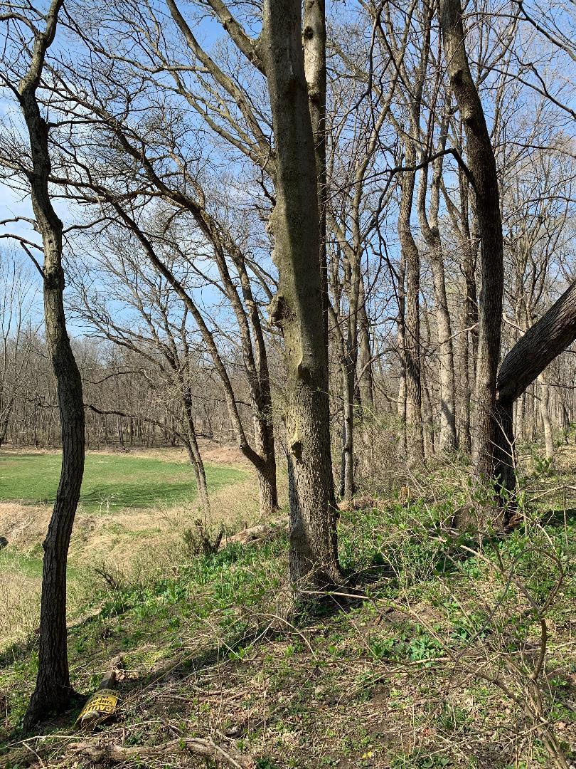0 Winterbottom Rd, Morris, IL 60450 - photo 1