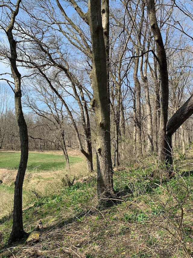 0 Winterbottom Rd, Morris, IL 60450 - photo 1