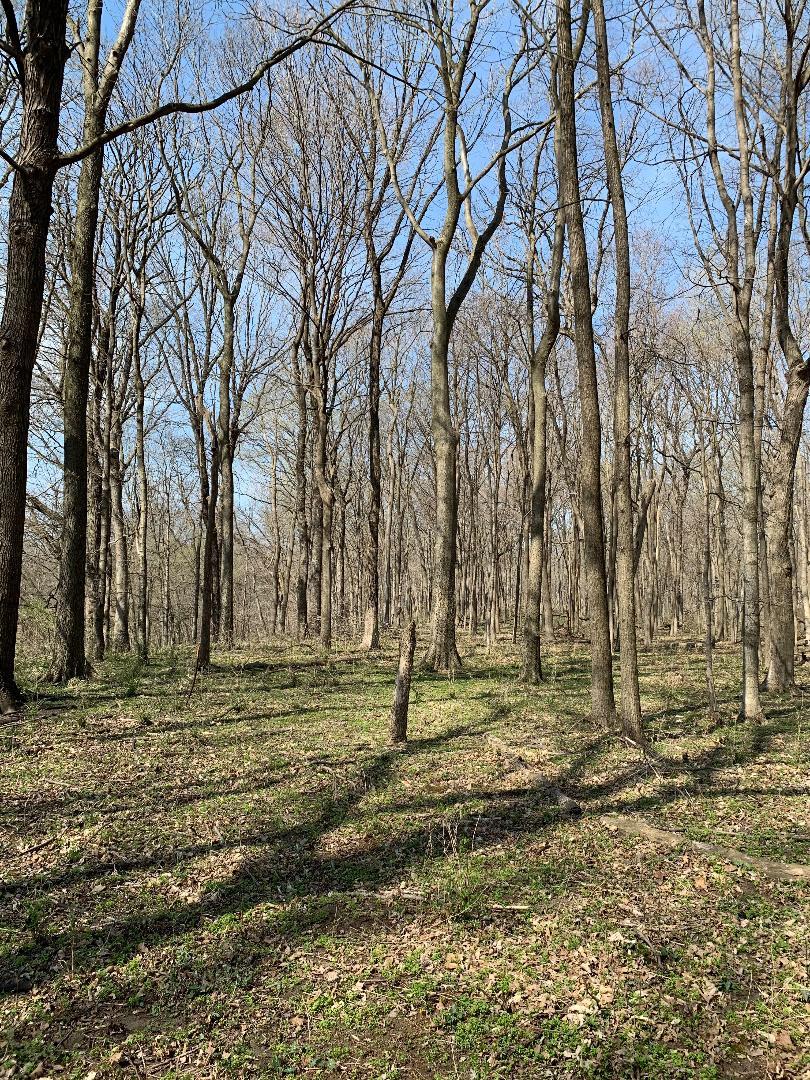 0 Winterbottom Rd, Morris, IL 60450 - photo 2