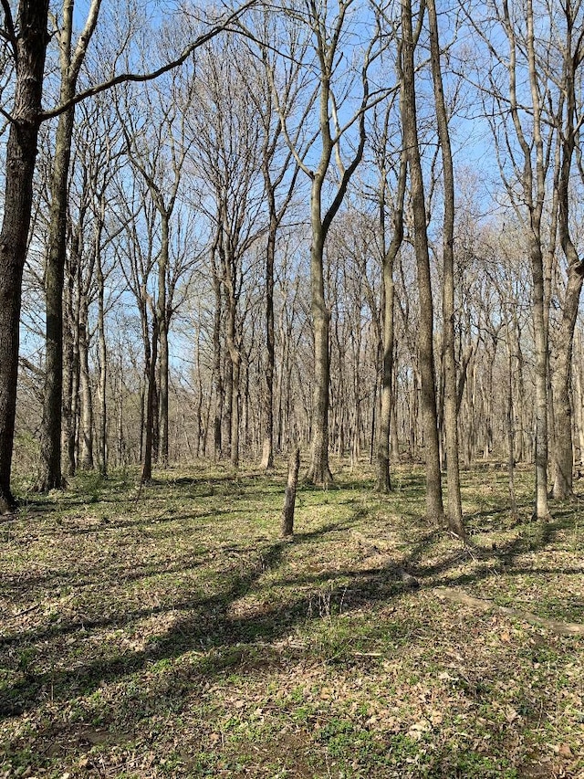 0 Winterbottom Rd, Morris, IL 60450 - photo 2