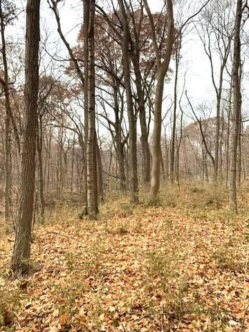 0 Winterbottom Rd, Morris, IL 60450 - photo 3