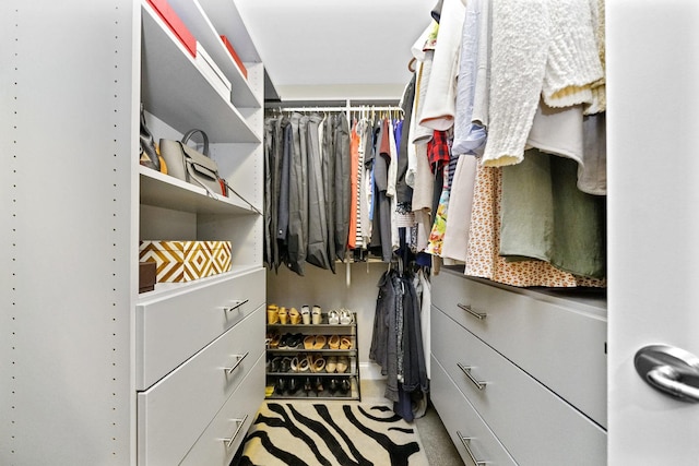 view of walk in closet