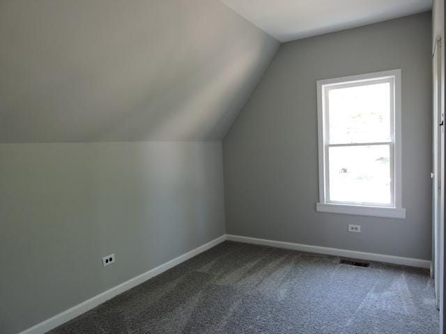 833 Pleasant St, Dekalb, IL 60115 - bonus room with lofted ceiling, dark carpet, and baseboards