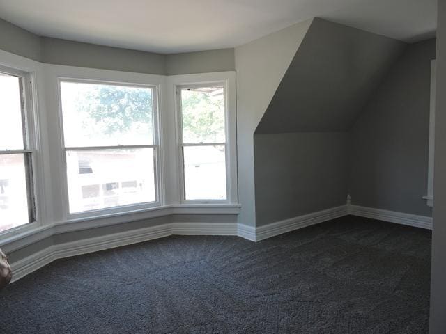 833 Pleasant St, Dekalb, IL 60115 - additional living space featuring dark colored carpet and baseboards