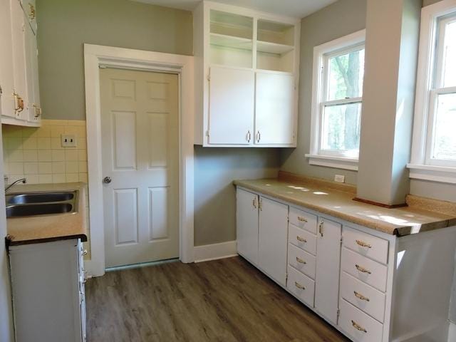 833 Pleasant St, Dekalb, IL 60115 - kitchen featuring a sink, white cabinetry, healthy amount of natural light, and wood finished floors
