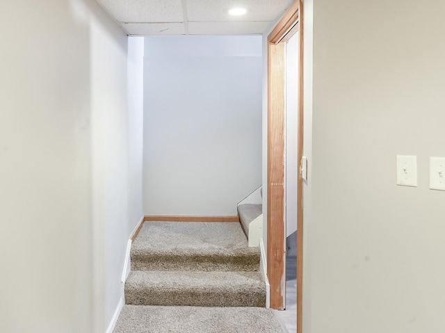 staircase featuring carpet flooring, a paneled ceiling, and baseboards