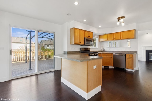 kitchen featuring dark wood finished floors, a peninsula, plenty of natural light, a sink, and appliances with stainless steel finishes