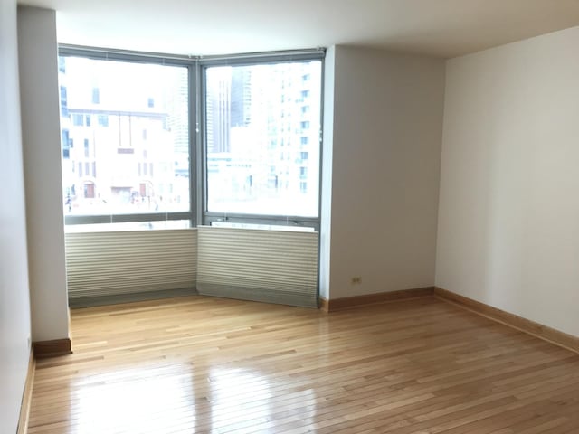 195 N Harbor Dr Unit 207, Chicago, IL 60601 - spare room featuring light wood-type flooring and baseboards