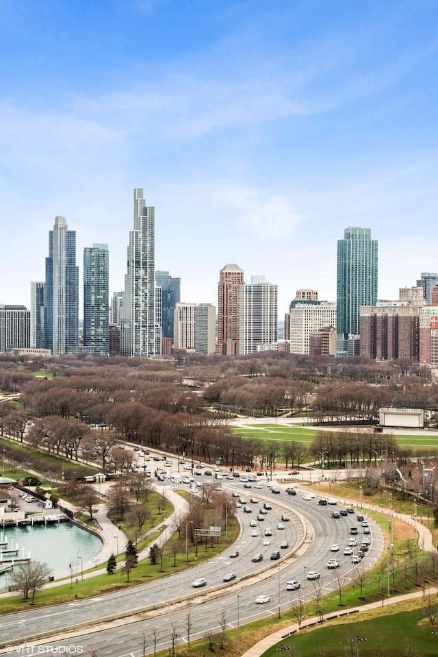 195 N Harbor Dr Unit 207, Chicago, IL 60601 - property's view of city
