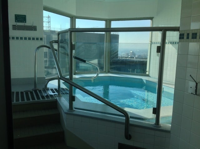 195 N Harbor Dr Unit 207, Chicago, IL 60601 - view of pool