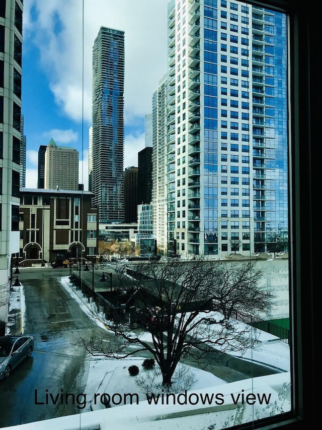 195 N Harbor Dr Unit 207, Chicago, IL 60601 - city view