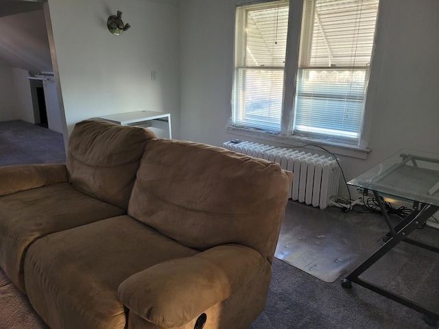 carpeted living area with radiator heating unit