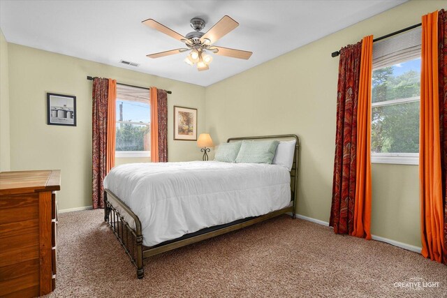 432 S Cherry St, Itasca, IL 60143 - carpeted bedroom featuring multiple windows and a ceiling fan