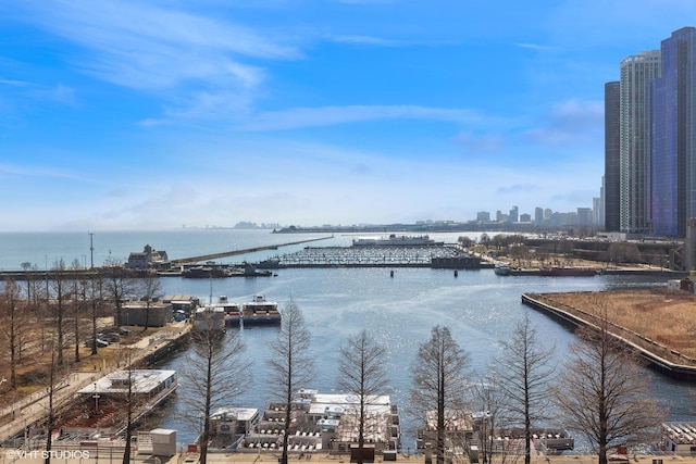 view of water feature with a city view