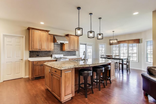 1056 W Willow St, Palatine, IL 60067 - kitchen with dark wood finished floors, wall chimney exhaust hood, a kitchen bar, and stove