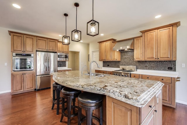 1056 W Willow St, Palatine, IL 60067 - kitchen featuring wall chimney range hood, dark wood-style floors, backsplash, appliances with stainless steel finishes, and a sink