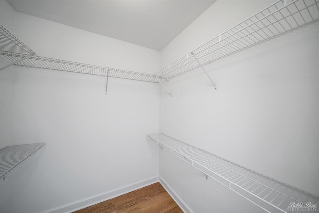 walk in closet featuring wood finished floors