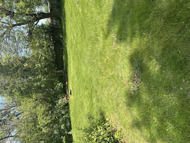 6724 W 114th St, Worth, IL 60482 - view of yard