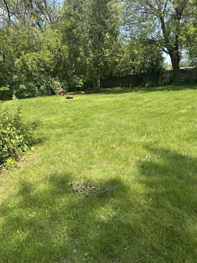 6724 W 114th St, Worth, IL 60482 - view of yard