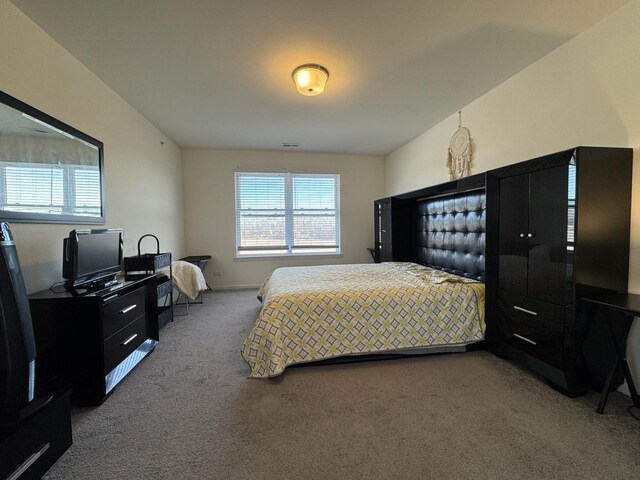 997 Regent Dr, Matteson, IL 60443 - view of carpeted bedroom