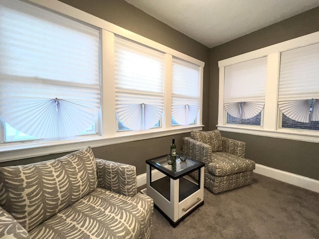7223 S Paxton Ave, Chicago, IL 60649 - sitting room featuring carpet flooring and baseboards