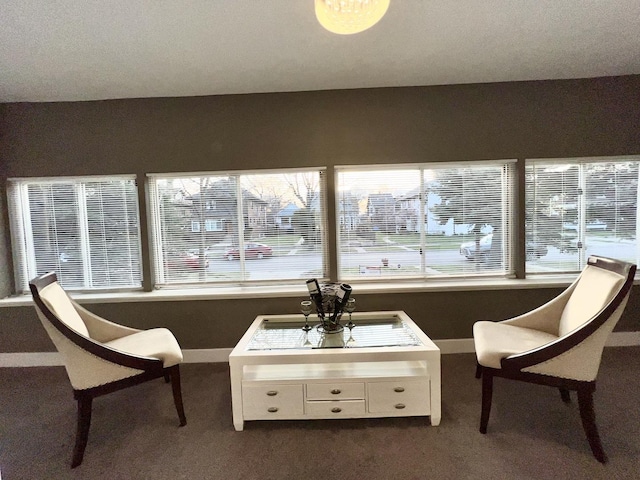 7223 S Paxton Ave, Chicago, IL 60649 - interior space featuring dark colored carpet