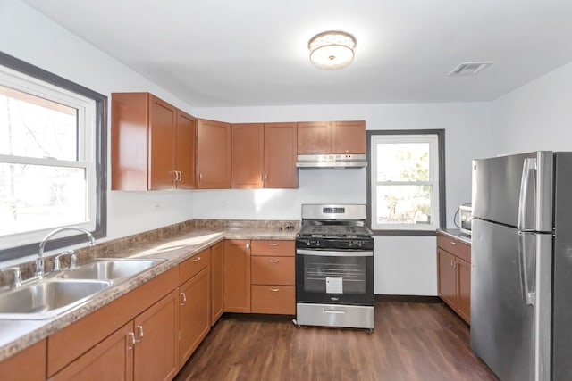 117 Arthur Ave, South Elgin, IL 60177 - kitchen featuring stainless steel appliances, a sink, dark wood-type flooring, under cabinet range hood, and light countertops