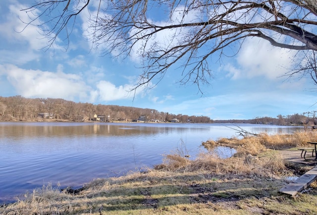 117 Arthur Ave, South Elgin, IL 60177 - water view