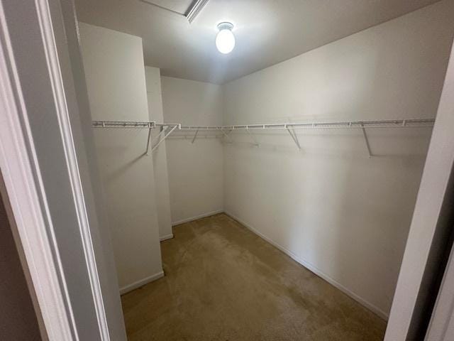 walk in closet featuring light colored carpet