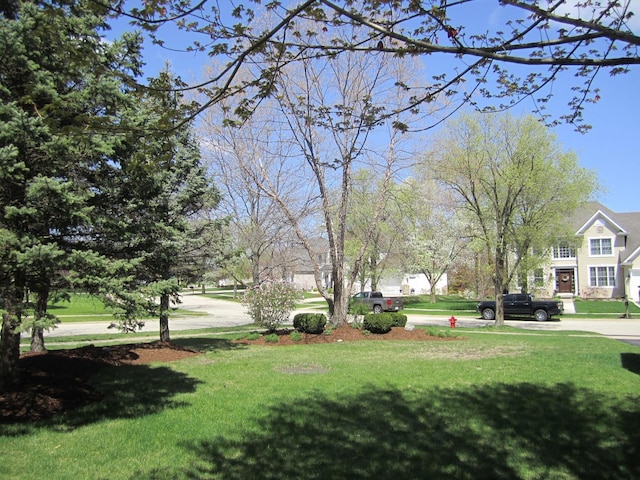 106 Tygert Ln, Dekalb, IL 60115 - view of yard