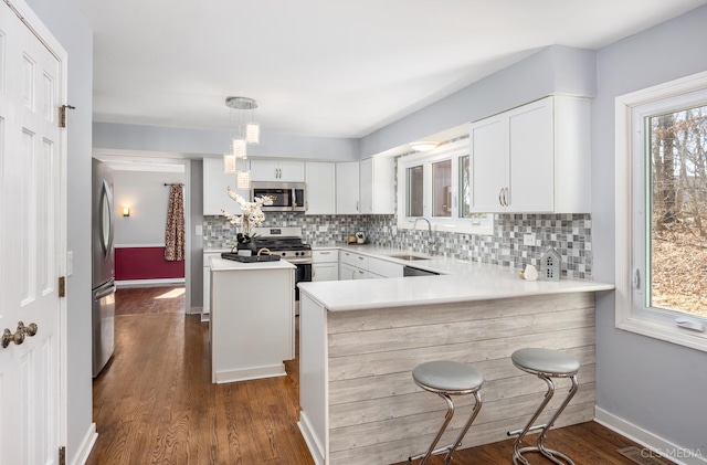 4 Auburn Ln, Barrington Hills, IL 60010 - kitchen featuring appliances with stainless steel finishes, tasteful backsplash, dark wood-style floors, and healthy amount of natural light