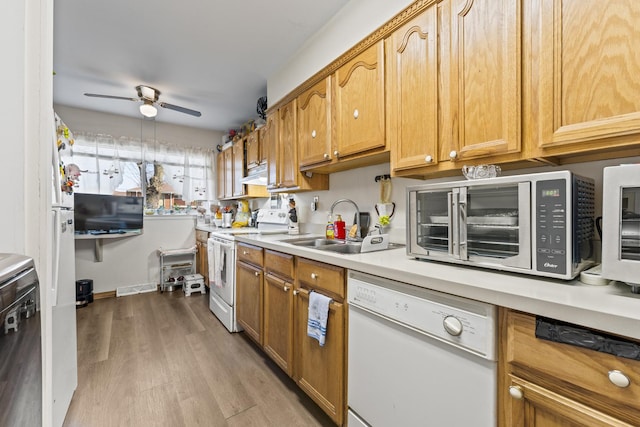 kitchen featuring white appliances, light countertops, ceiling fan, and wood finished floors