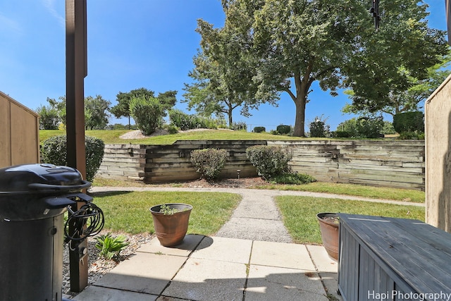 41 Bermuda Colony Unit 5, Fox Lake, IL 60020 - view of patio featuring a grill