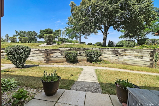 41 Bermuda Colony Unit 5, Fox Lake, IL 60020 - view of yard