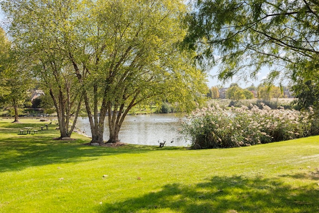 view of yard with a water view