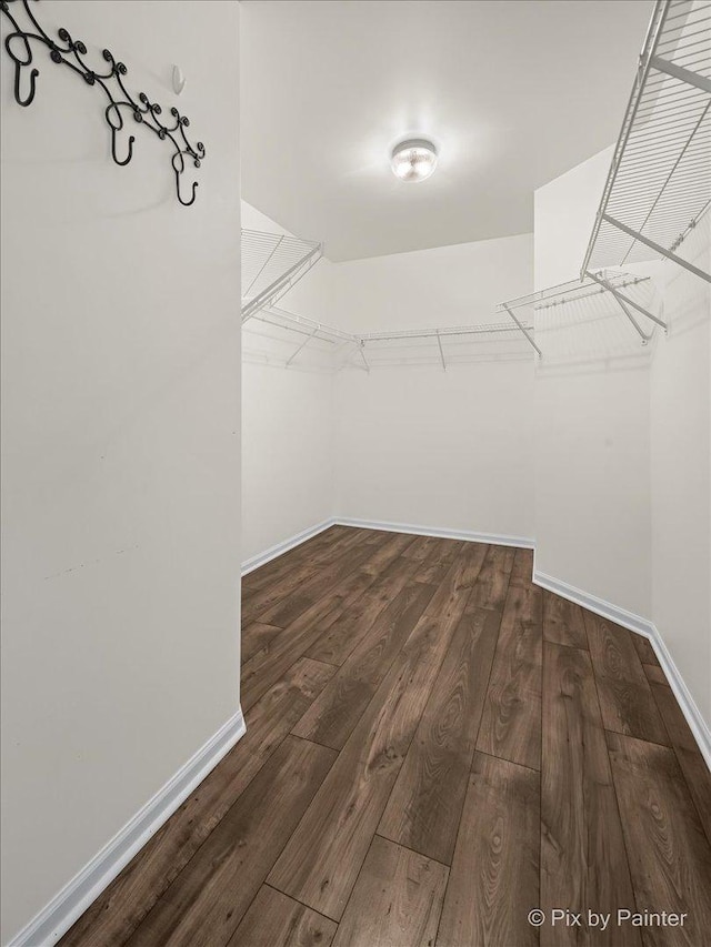 spacious closet with dark wood-type flooring