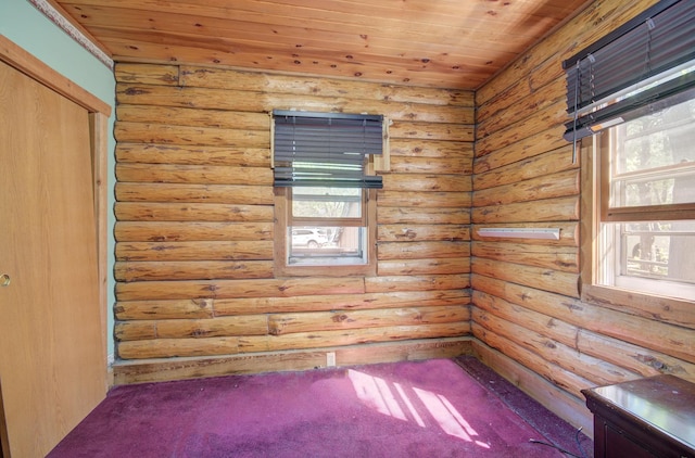 64 Big Musky Circle Ln, Wilmington, IL 60481 - carpeted spare room featuring log walls and wood ceiling
