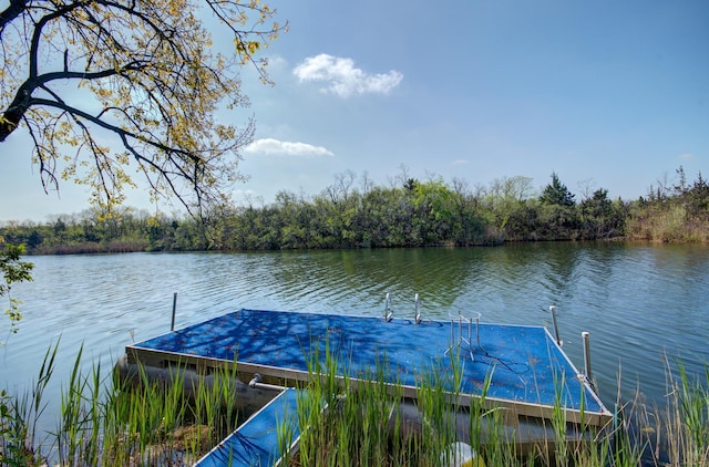 64 Big Musky Circle Ln, Wilmington, IL 60481 - dock area with a water view