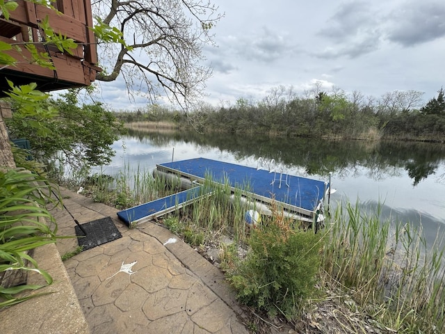 64 Big Musky Circle Ln, Wilmington, IL 60481 - dock featuring a water view