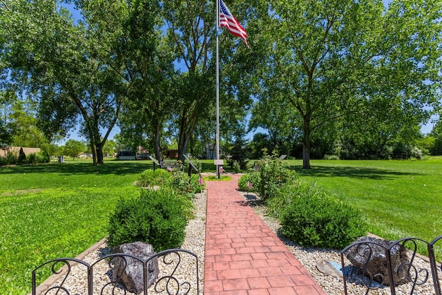 64 Big Musky Circle Ln, Wilmington, IL 60481 - view of green lawn