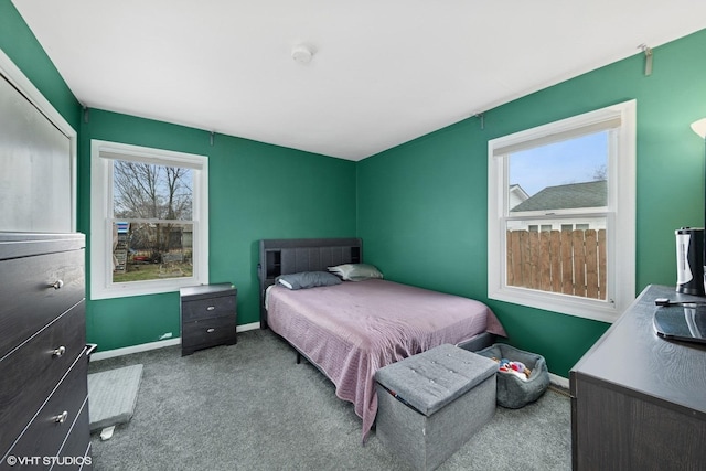 202 S Oltendorf Rd, Streamwood, IL 60107 - photo 11